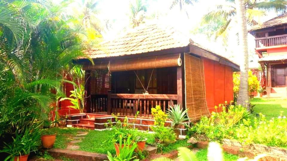 Blue Water Beach Resort Varkala Bilik gambar